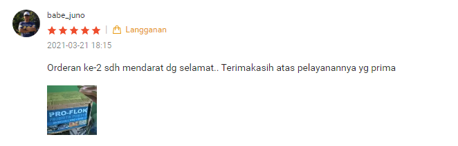 review2.png