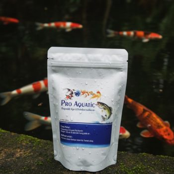 pro aquatic 250 grm