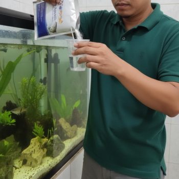 pro aquatic aquarium