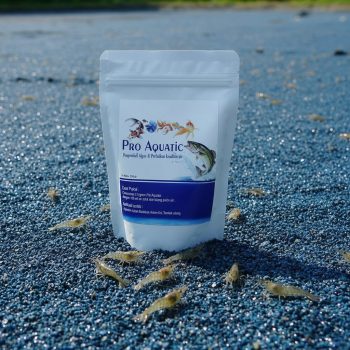 pro aquatic udang